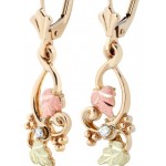 Genuine Diamond Leverback Earrings - by Landstrom's